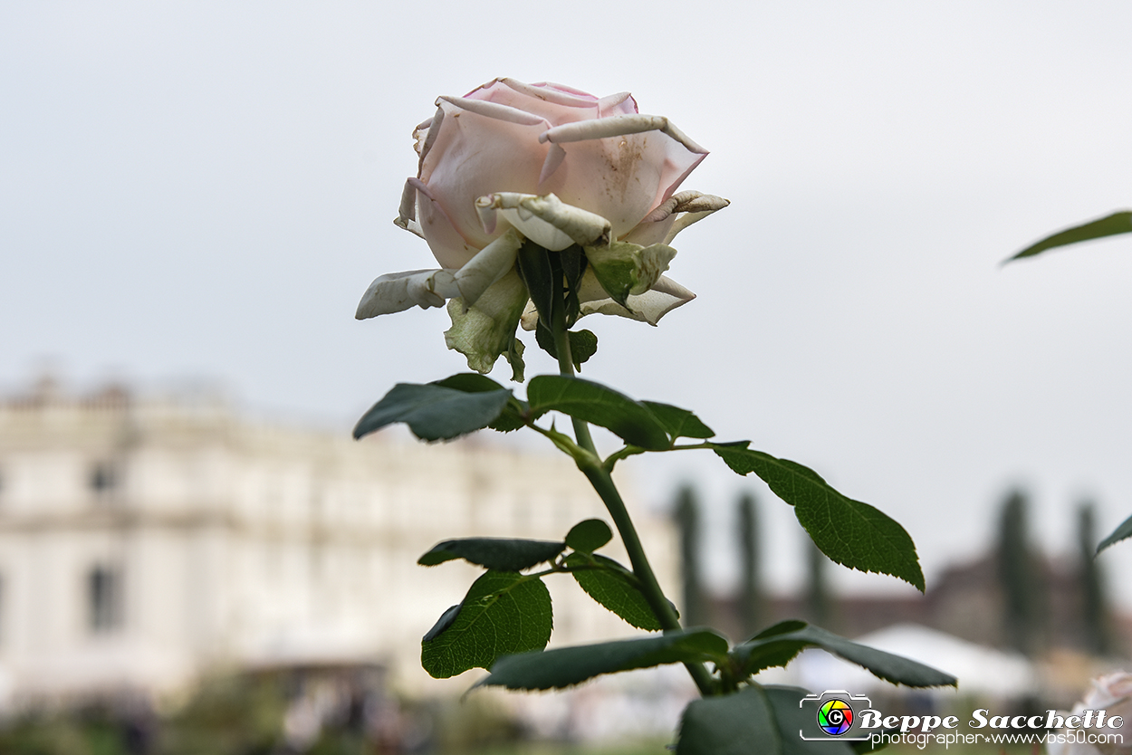 VBS_3563 - Floreal 2023 - Vivere con le piante.jpg